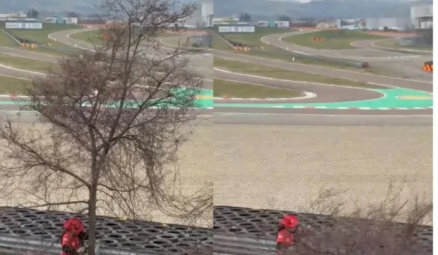 Daha iyi görüntü için ağaç kesen Ferrari taraftarı ceza aldı