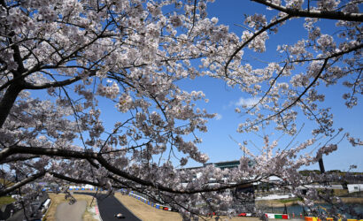 F1 Grand Prix Of Japan - Practice