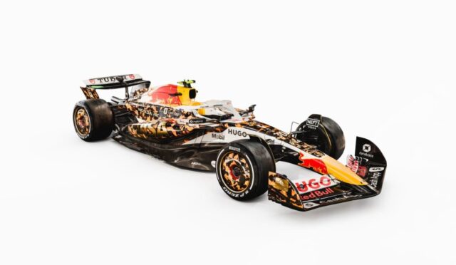 whatsapp-image-2025-10-15-at-15-57-57-5-1760548131-jpeg