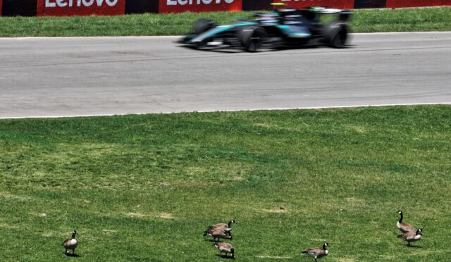 Motion-blurred turquoise race car on a track, with red Lenovo banners in the background and geese on the grass in the foreground.