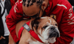 Lewis Hamilton’dan Sevgili Köpeği Roscoe İçin Duygusal Veda Mesajı