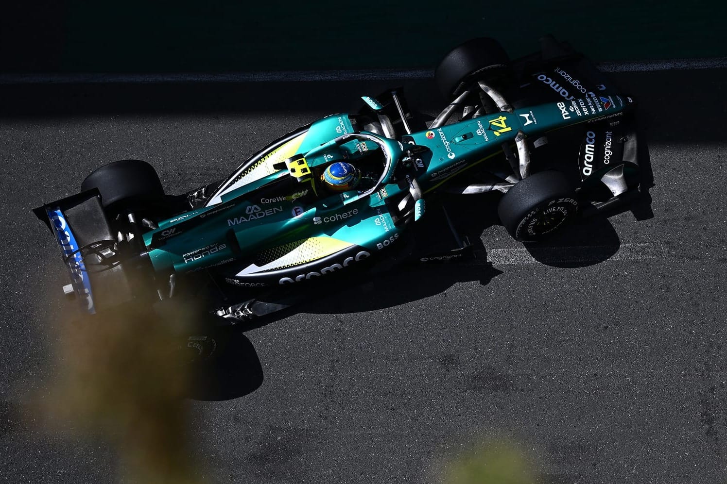 Fernando Alonso
