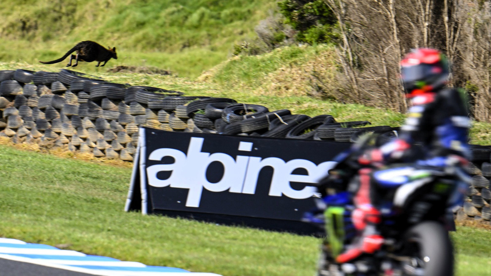 Marc Marquez Phillip Island