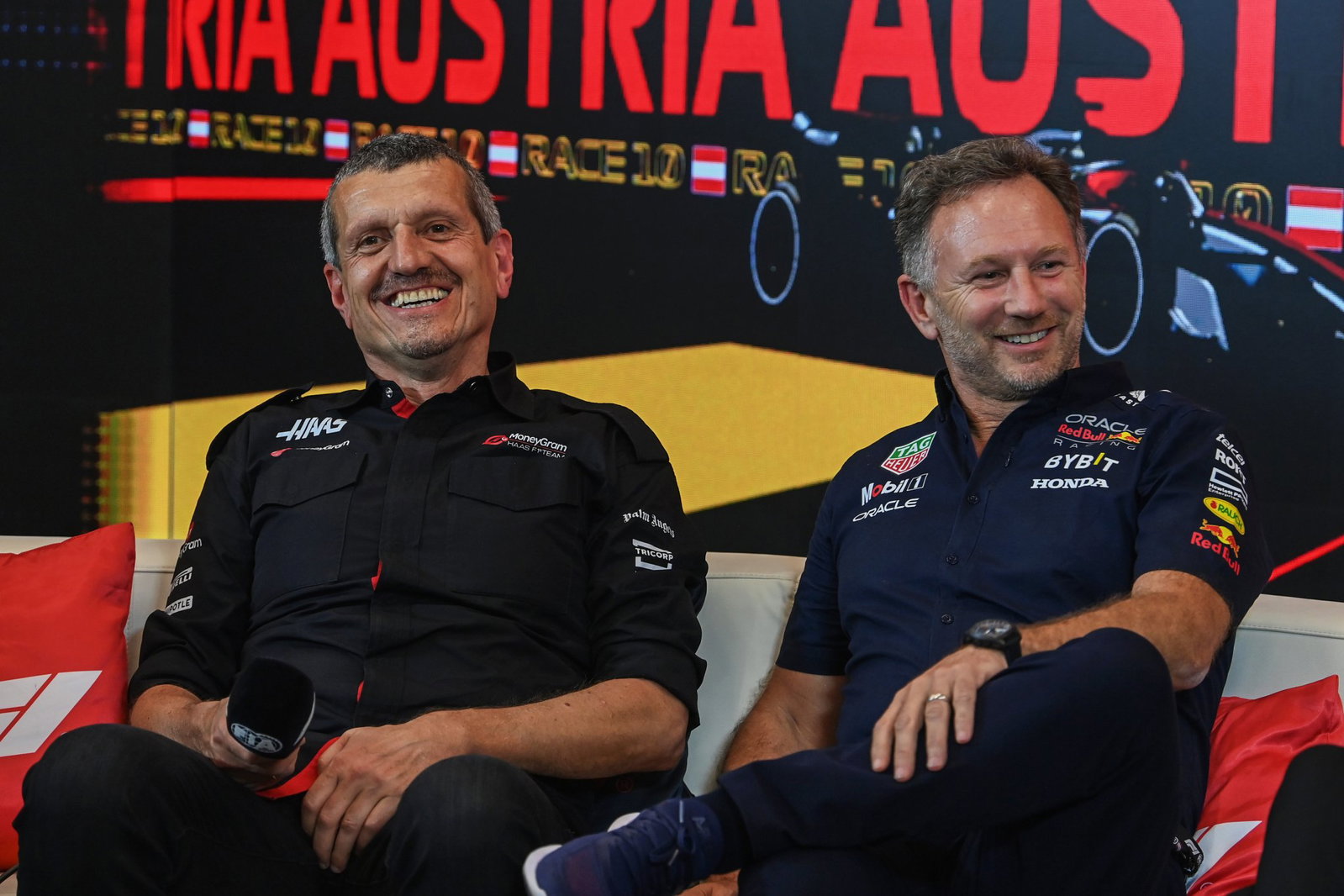 Christian Horner ve Guenther Steiner
